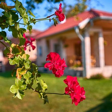 Villa Simida Debnevo Exteriör bild